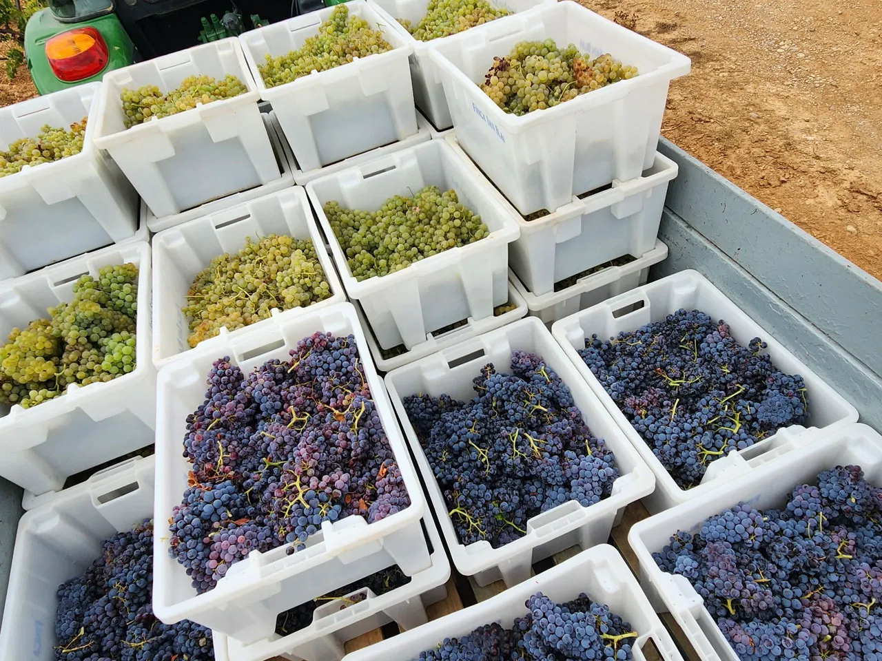 ���ڥ��󡦥Х�󥷥��Υ֥ɥ�